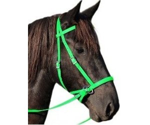 Dr Cook Dr Cook Bitless Bridle Nylon Lime Green Medium Gass