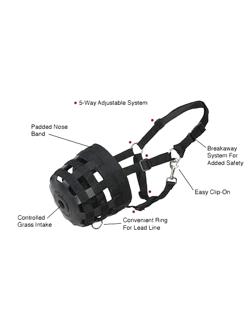 Best Friend Deluxe Grazing Muzzle Cob Gass Horse Supply & Western Wear