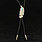 Bolo Tie - Feather with Turquoise