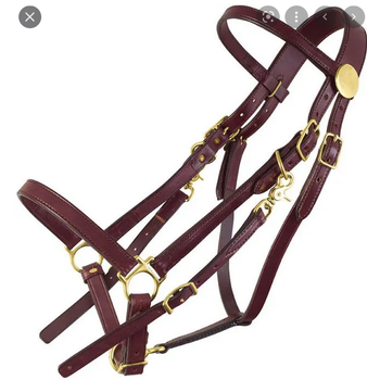 Circle L Circle L Leather Halter / Bridle Combo with Reins - Horse Size