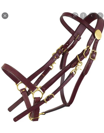 Circle L Circle L Leather Halter / Bridle Combo with Reins - Horse Size
