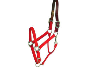 Deluxe 3-Ply Adjustable Nylon Halter w/Snap 