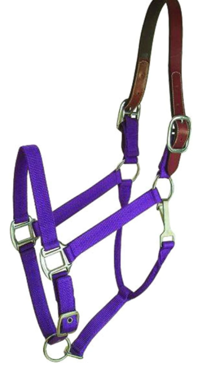 Nylon Breakaway Halter