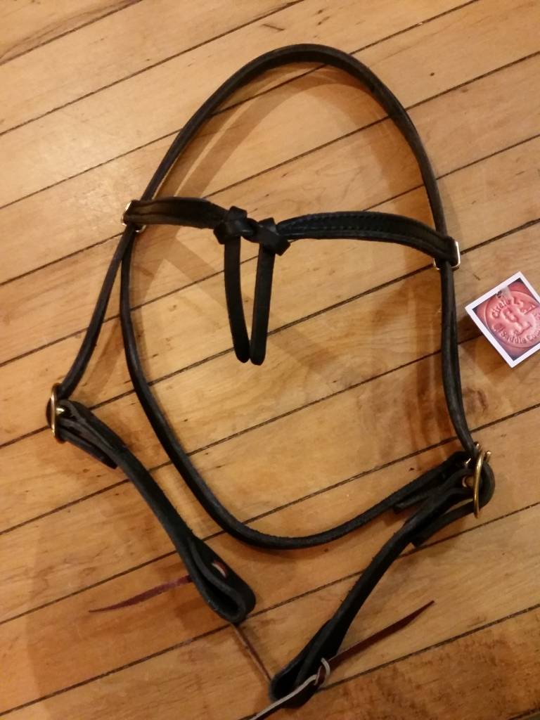 Futurity Knot Browband Headstall Gass Horse Supply Western Wear