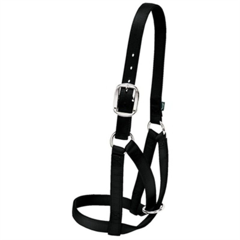 Weaver Padded Adjustable Halter - Red/Black