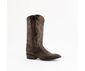 Ferrini teju lizard boots top