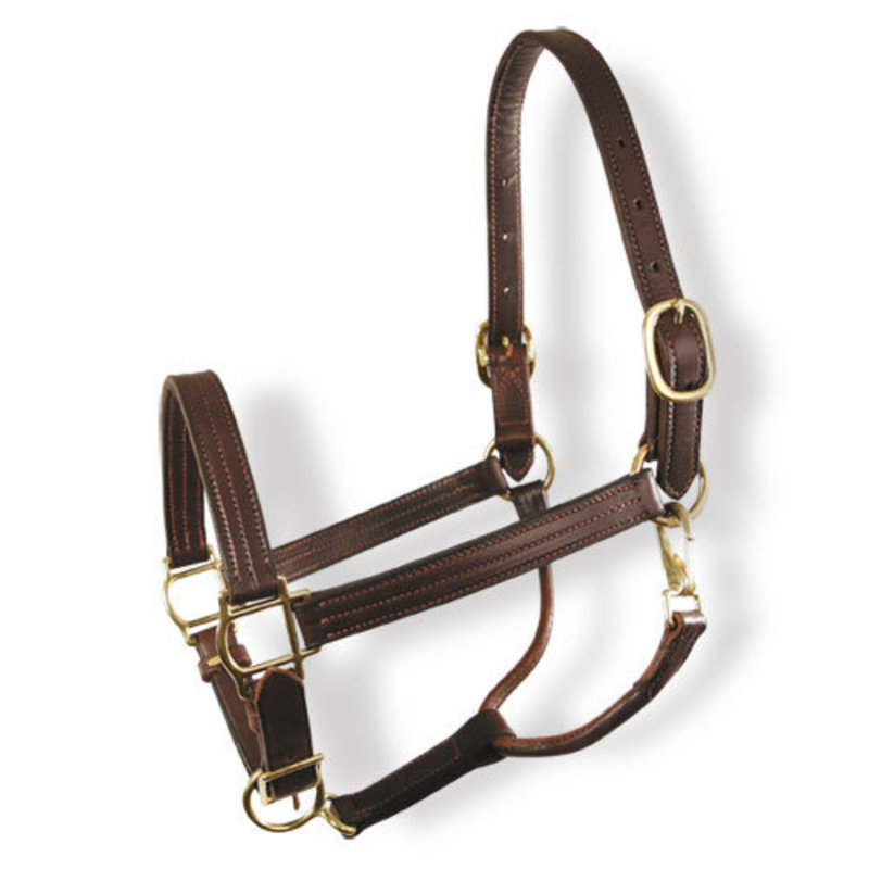 Colonial 1" Halter w/Three Row Stitching & Brass Hardware