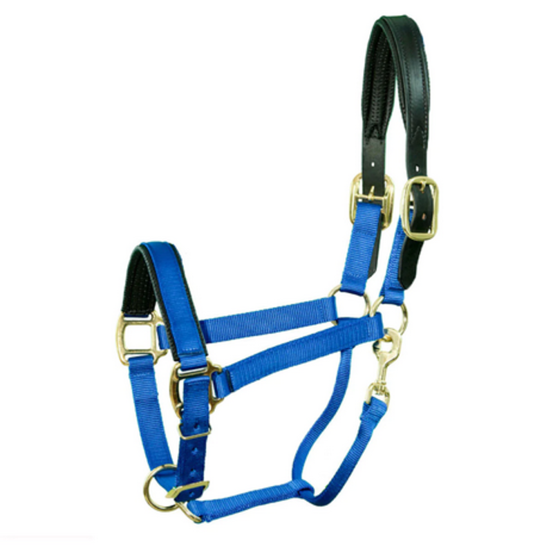 Nylon Breakaway Halter with Padded Crown/Nose - Mini