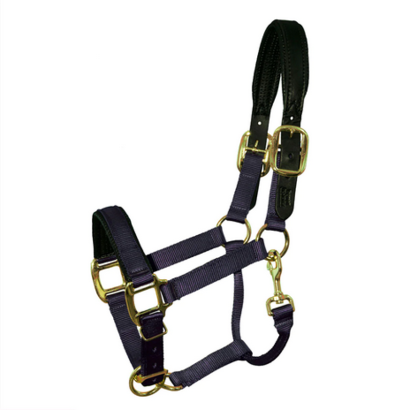 Nylon Breakaway Halter with Padded Crown/Nose - Mini