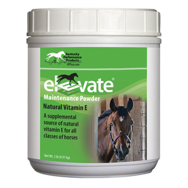 Elevate Maintenance Powder - 2lb