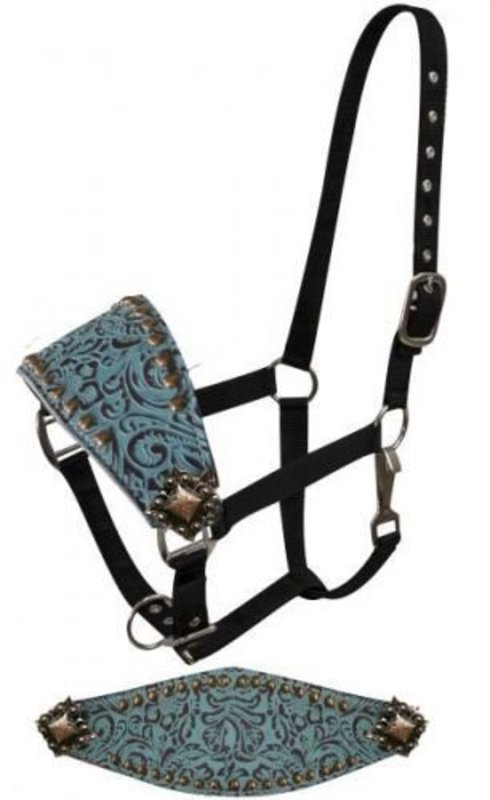 Louis Vuitton noseband bronc halter LV  Horse show clothes, Western  pleasure horses, Horse accessories