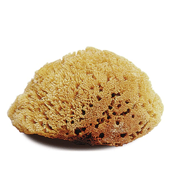 Natural Tack Sponge - Large