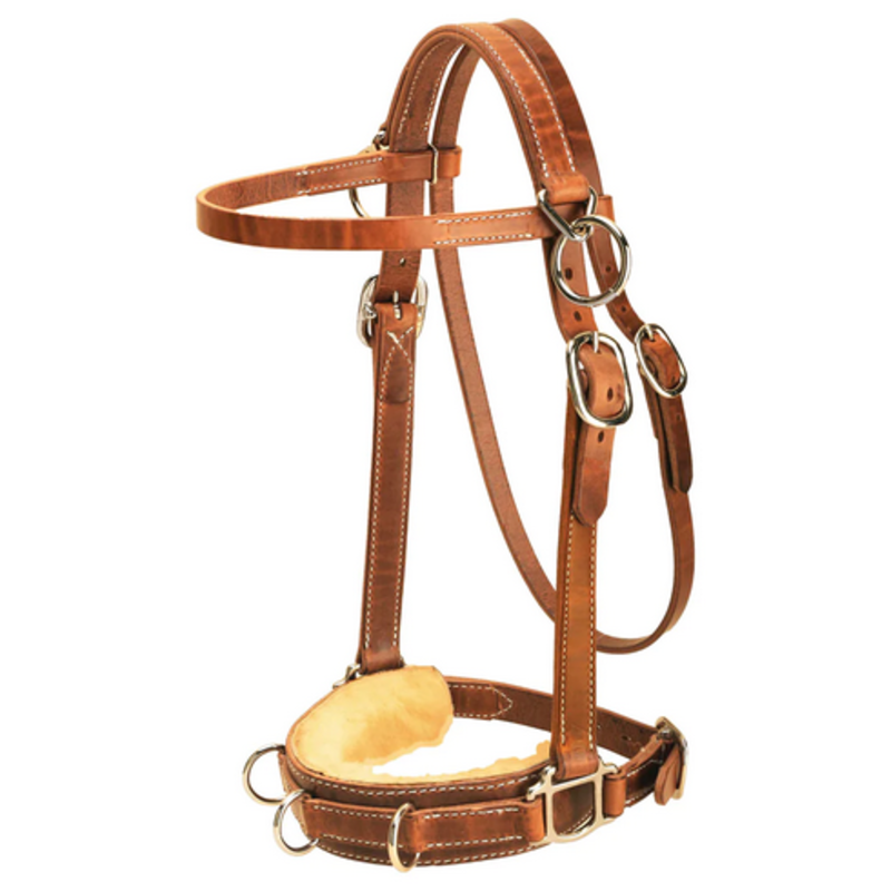 Tory Harness Leather Lunge Caveson