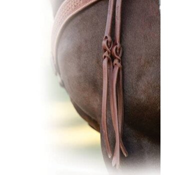 Professional's Choice Heavy Oiled Split Reins with Popper Tail