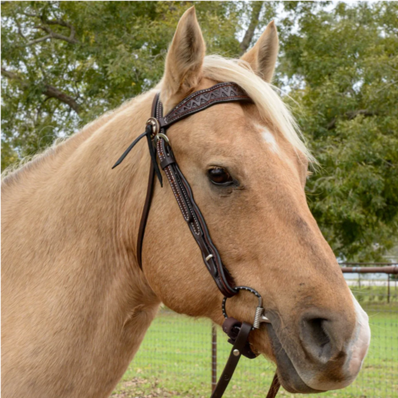 Circle Y Circle Y Bluestem Browband Headstall