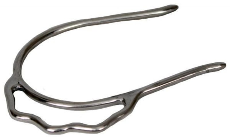 Showman Stainless Steel Slip On Spurs