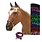 Showman Showman® Braided Nylon Rope Noseband and Nylon Tie Down - Asst.