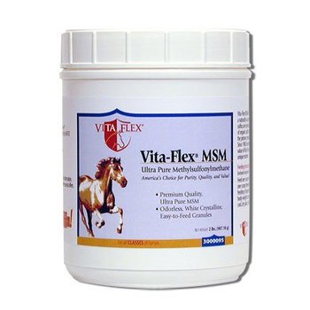 Vita Flex MSM Joint Supplement - 4 lb