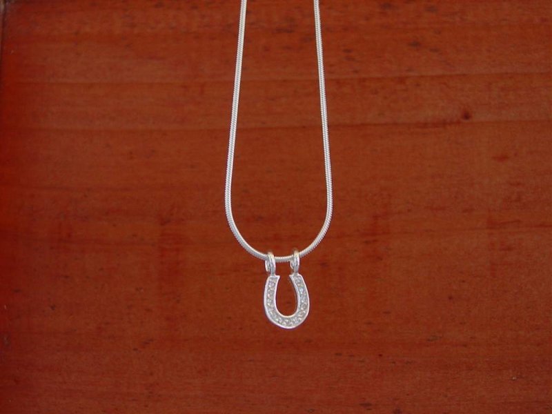 Baron Silver Necklace - CZ Horseshoe