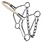 Tough-1 Hackamore - Beetle, Horse Size