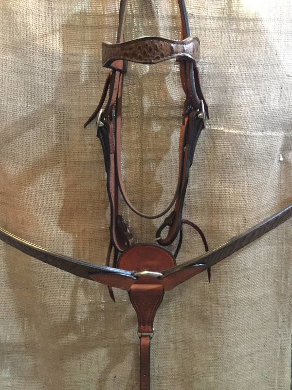 Bosal Bridle - Showman with Turquoise Accents