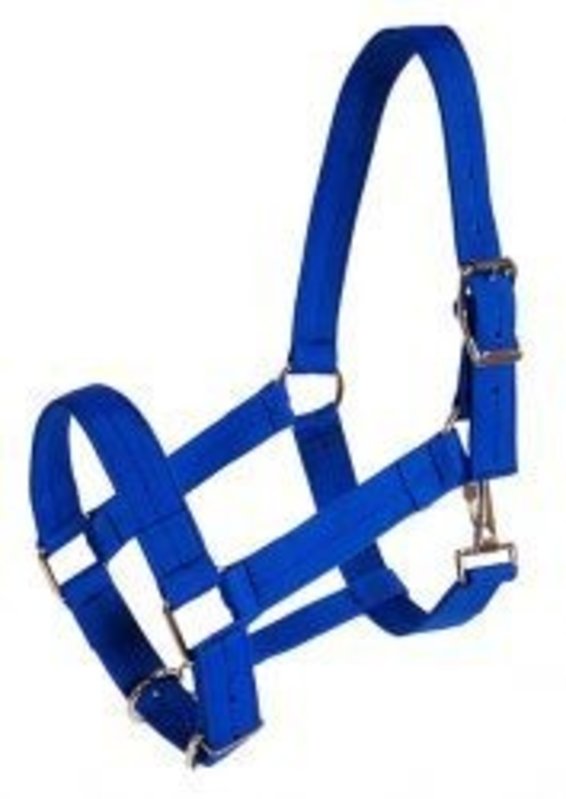 Triple E 3-Ply Poly Web Draft Halter Royal Small