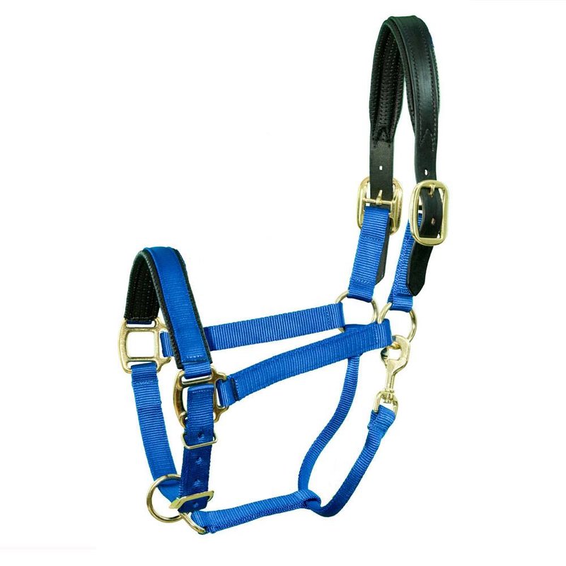 Breakaway Mini 5/8 Premium Nylon Adjustable Halter w/Overlay, No Snap