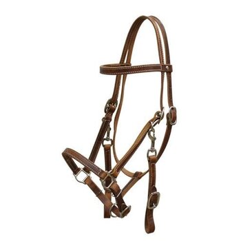 Showman Showman Leather Halter Bridle Combo