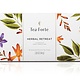 Tea forte Herbal Retreat Presentation Box