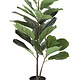 Creative Co-op Faux Fiddle Fig Leaf Plant in Pot