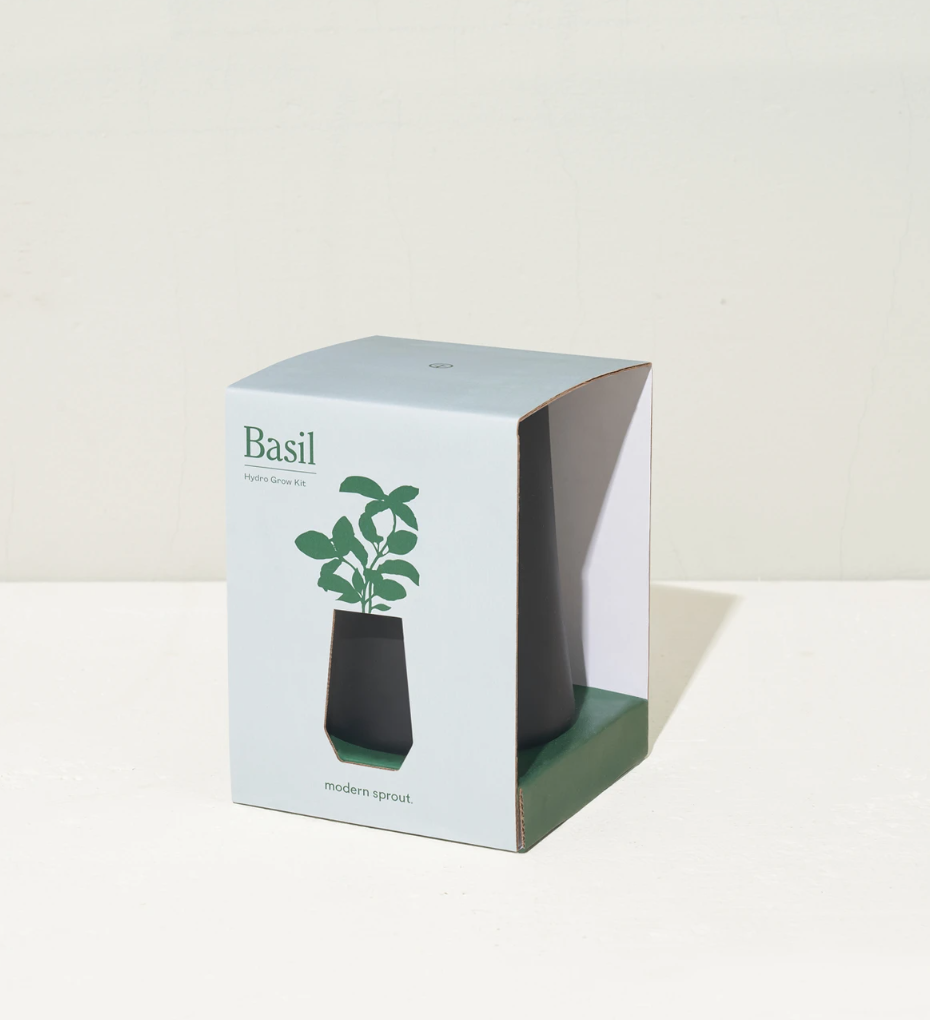 Modern Sprout Black Tapered - Basil