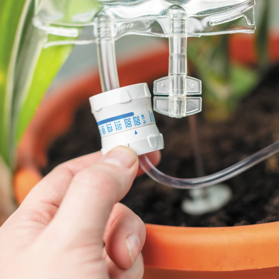 Bubblegum Stuff Plant Life Support Houseplant Watering Device