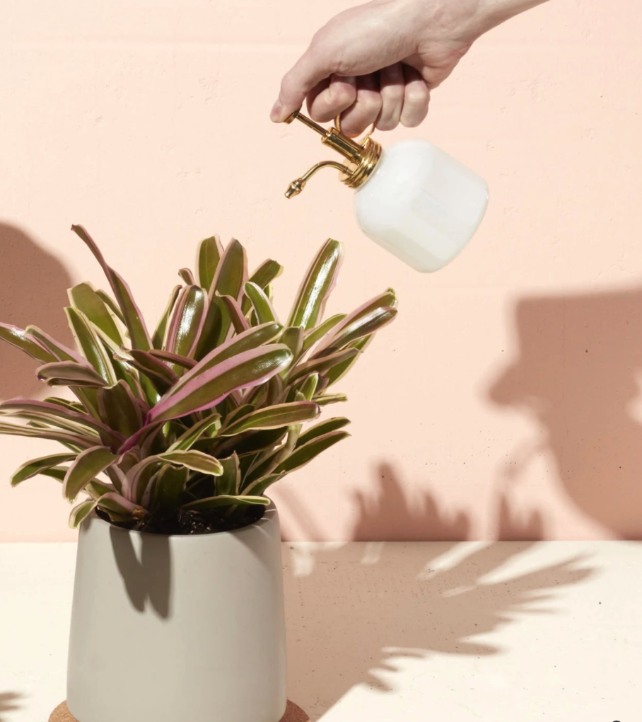 Modern Sprout White Glass & Brass Plant Mister