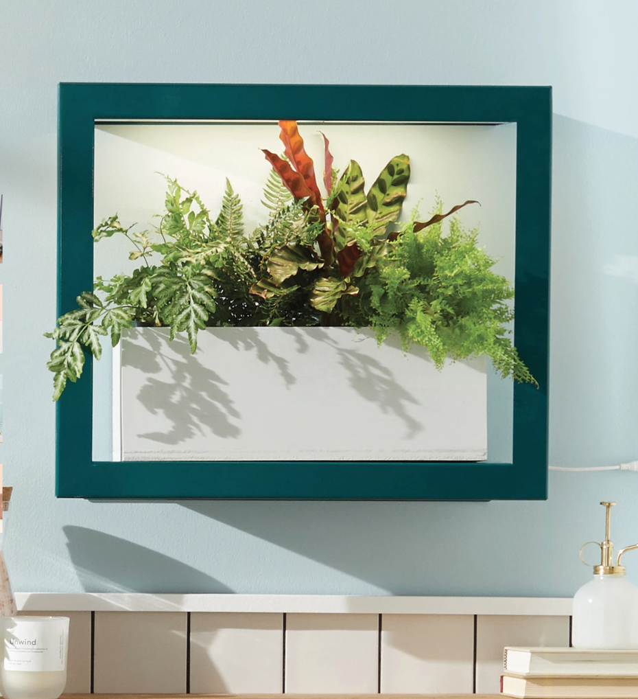 Modern Sprout White Glass & Brass Plant Mister
