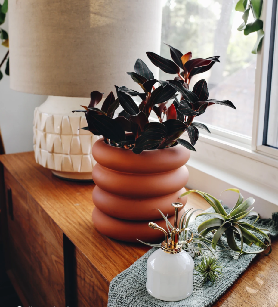 Modern Sprout White Glass & Brass Plant Mister