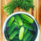 Farm Steady Pickle Making Kit