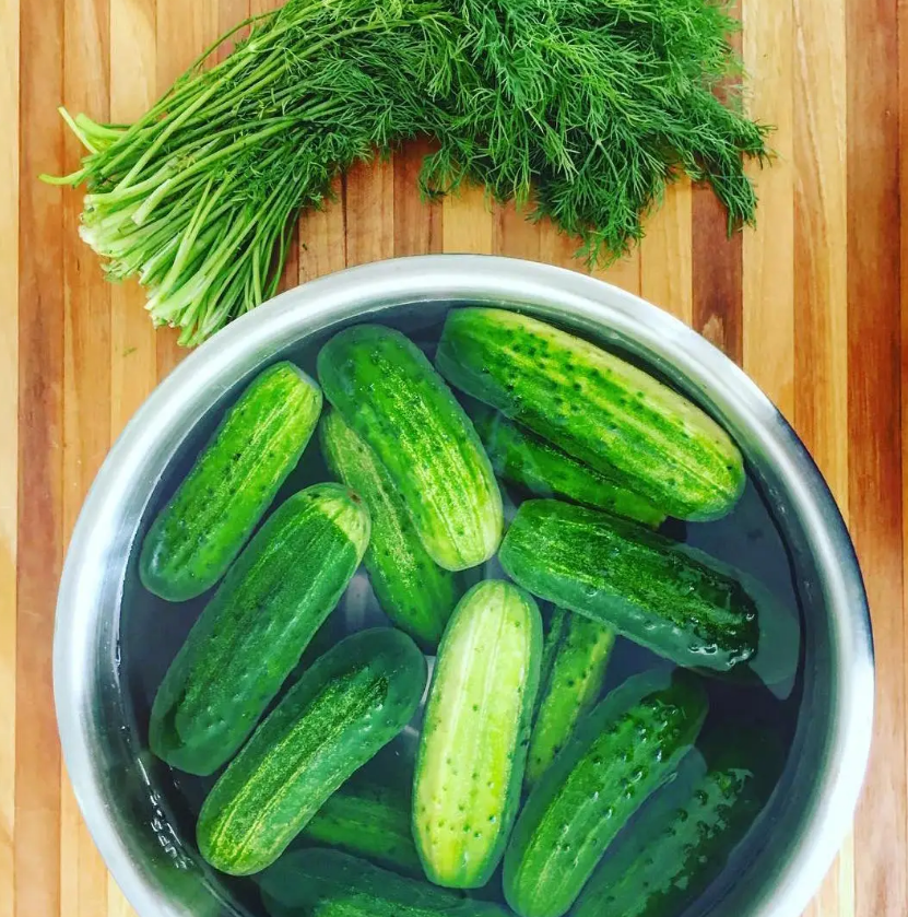 Farm Steady Pickle Making Kit