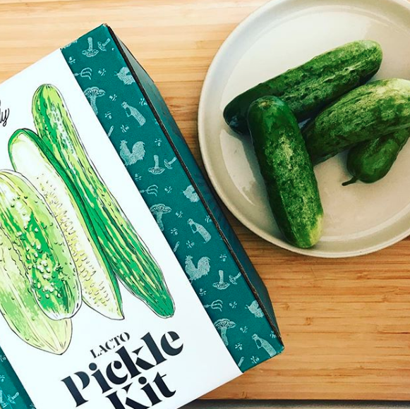 Farm Steady Pickle Making Kit