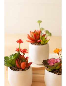 Kalalou Artificial Succulent Plants in White Pot