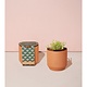 Modern Sprout Tiny Terracotta - Good Luck Clover