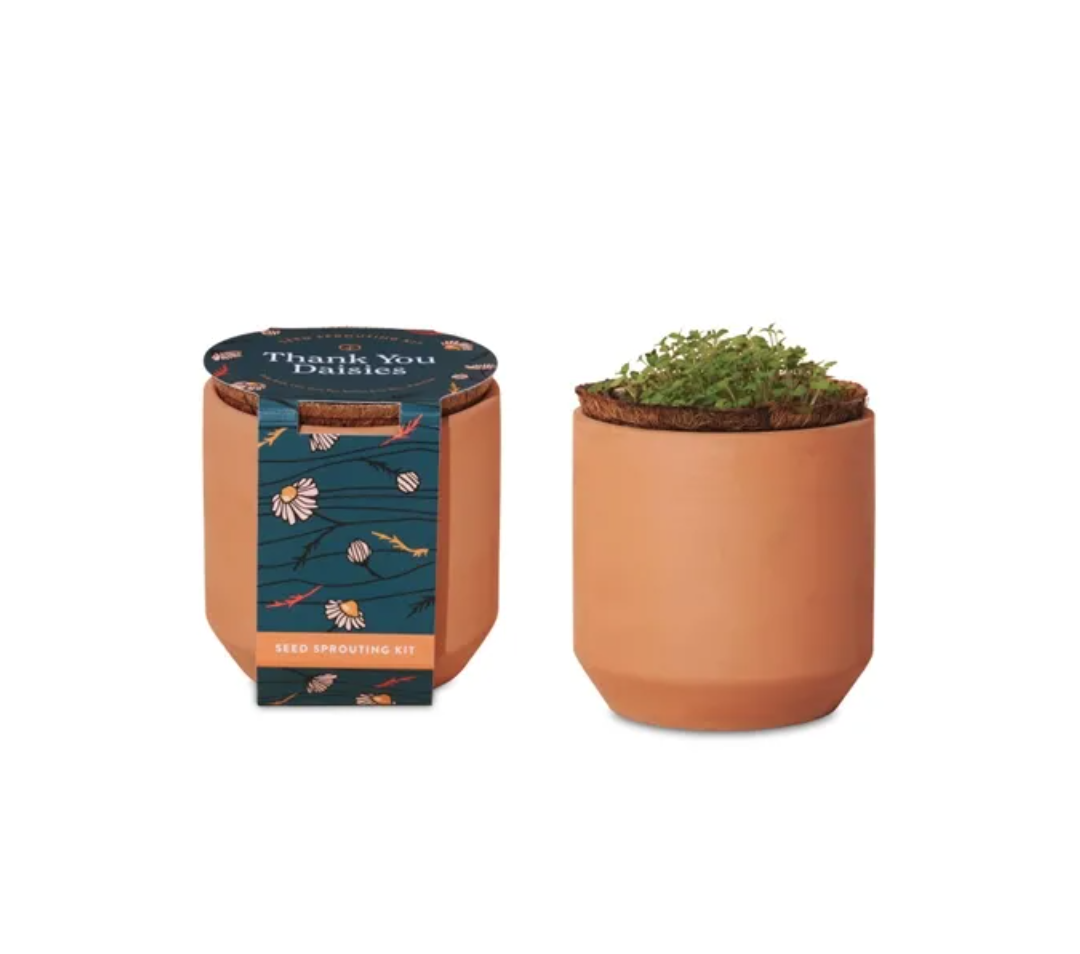 Modern Sprout Tiny Terracotta - Thank You Daisies
