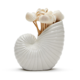 Two's Company Nautilus Shell with 20 Seashell Picks