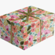 Jillson & Roberts Gypsy Floral Gift Wrap - Roll