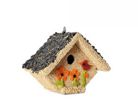 Mr. Bird Spring Fruit Casita
