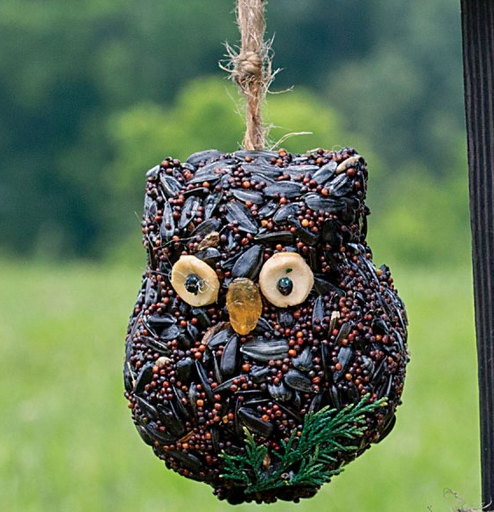 Mr. Bird Ollie the Owl - Dark Brown Seeds