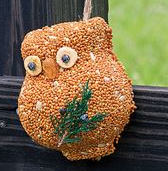 Mr. Bird Ollie the Owl - Orange Seeds