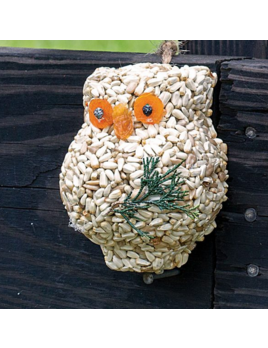 Mr. Bird Ollie the Owl - Light Borwn Seeds