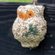 Mr. Bird Ollie the Owl - Light Borwn Seeds