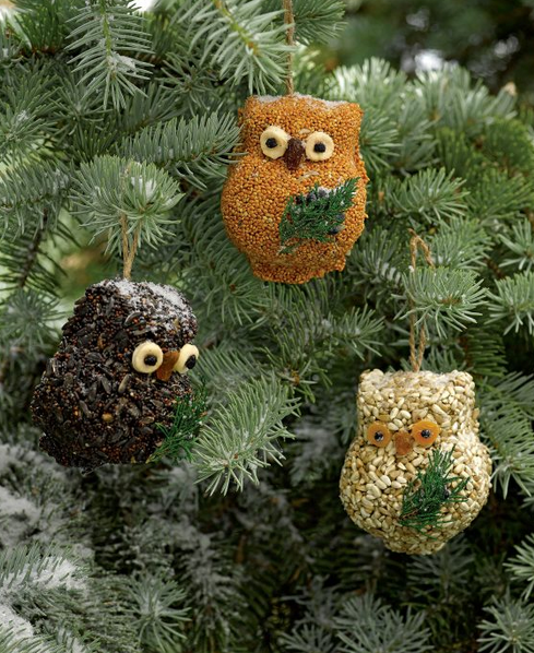 Mr. Bird Ollie the Owl - Light Borwn Seeds