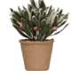 Creative Co-op Faux Greens w/ Red Berries in Paper Mache Pot